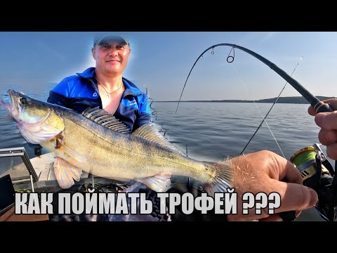 Видео: Рыбалка на реке Волга. КАК ПОЙМАТЬ ТРОФЕЙ? Ловля Судака на Спиннинг. Летняя рыбалка 2025.