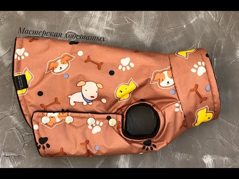 Видео: Как сшить жилетку на собаку