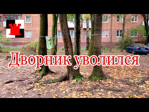 Видео: Новости Калининграда: дворник уволился, начальника арестовали, "Пятерочки" утомляют