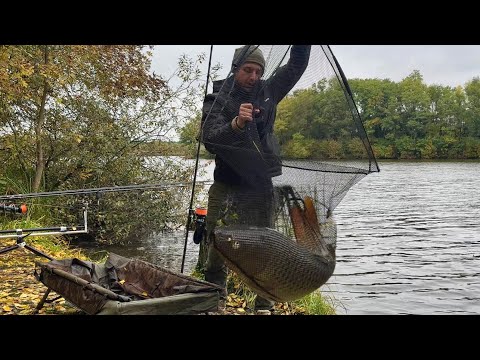 Видео: ПОПАВ НА ОСІННІЙ ЖОР. Тиждень на риболовлі. Клює як дурна 