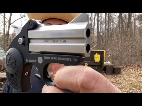 Видео: Обзор обновленного ассортимента Bond Arms Stinger
