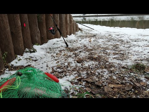 Видео: Спиннинговое закрытие сезона - 2024, завалил бычка и доволен!