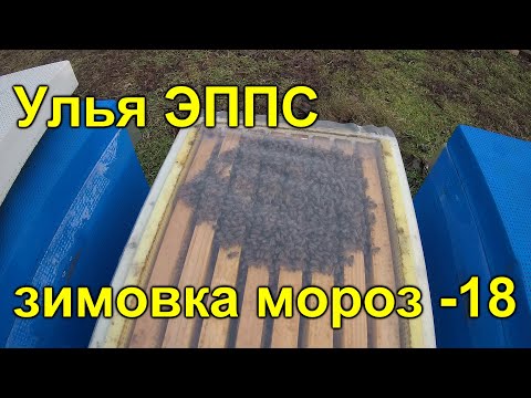 Видео: Улей ЭППС дно сетка зимовка -18
