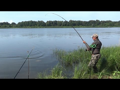 Видео: Лещ в Августе Выбрал Эту Насадку ! Рыбалка на Донки на Оке 2025!
