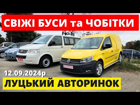 Видео: СВІЖІ ЦІНИ НА БУСИ та ЧОБІТКИ /// ЛУЦЬКИЙ АВТОРИНОК /// 12.09.2024р. #буси #автопідбір #автобазар