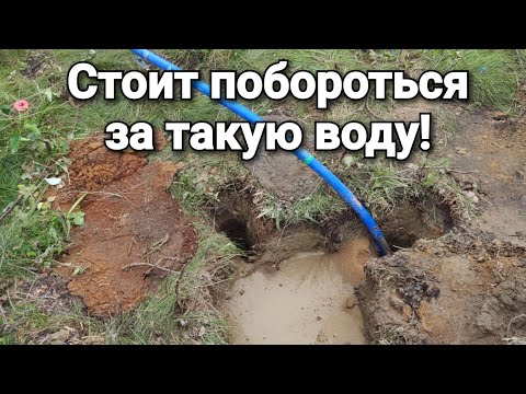 Видео: Минилахти Абиссинская скважина