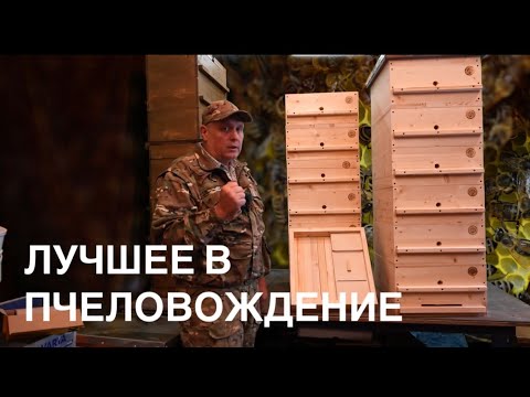 Видео: ЛУЧШИЙ УЛЕЙ, НОМЕР 1