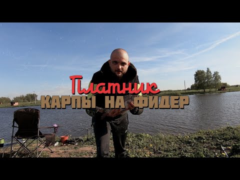 Видео: Карпы на фидер. Рыбалка на платнике. Игумное