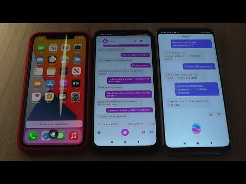 Видео: Siri vs Алиса vs Маруся общаются друг с другом