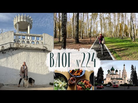 Видео: Красиво встречаем осень в Ярославле. Влог №224