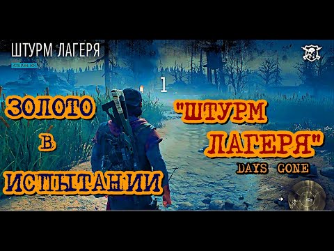 Видео: Days Gone Испытания Штурм Лагеря Золото Days Gone Challenge Ambush Camp Rush Gold   Жизнь После