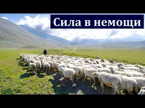 Видео: "Сила в немощи". Д. Цыганков. МСЦ ЕХБ