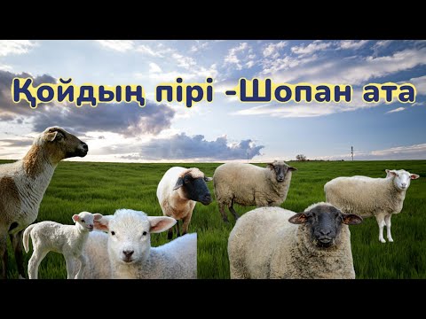 Видео: Қойдың пірі - Шопан ата