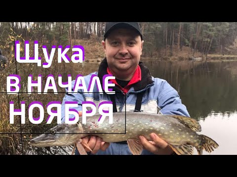 Видео: Щука в ноябре. Рыбацкая стрелка.