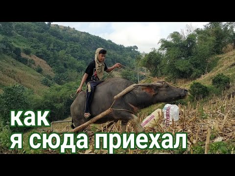 Видео: Филиппины..как я приехал на Филиппины  и с чего начал