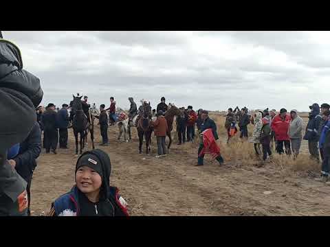 Видео: 18-11-2023ж Караозек районы байге