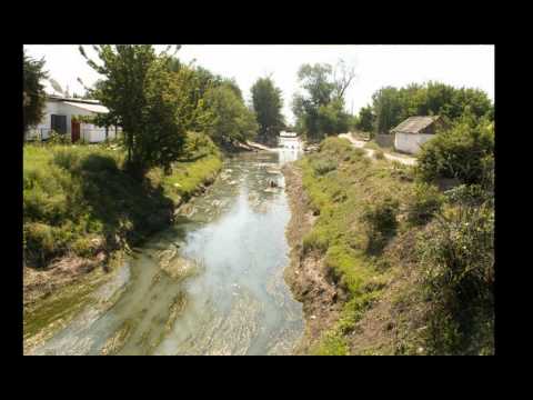 Видео: Винсовхоз 1   Т. Ф. Н...