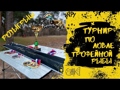 Видео: Турнир по ловле трофейной рыбы I Попали в призы