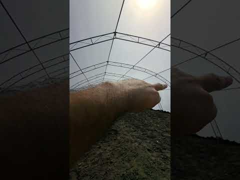 Видео: Монтаж Оранжерия 💯 #garden #село #работа #градина #nursery #razsadnikat