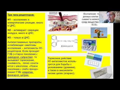 Видео: Дубынин МФК весна 2021 Химия мозга 9 глицин гистамин кофеин опиоиды