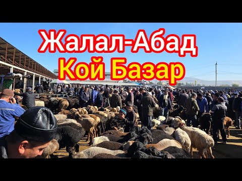 Видео: Кой Базар Жалал-Абад