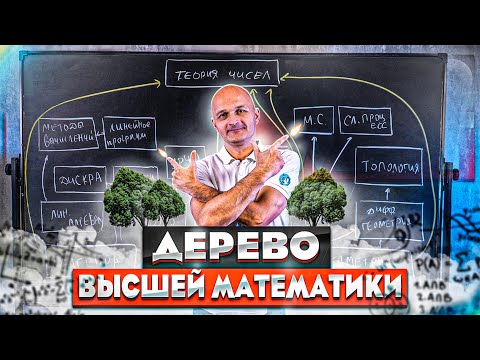 Видео: Высшая математика. Рисую дерево вышмата