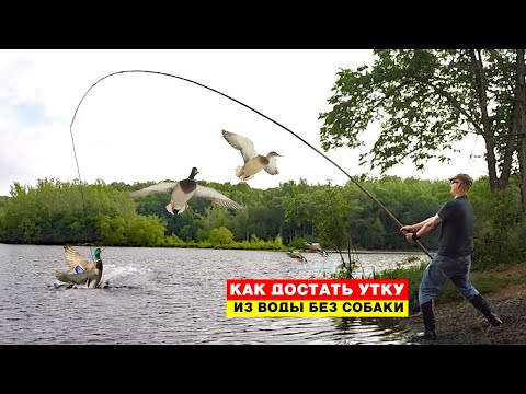 Видео: как достать утку из воды без собаки Делаем остастку и достаем