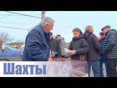 Видео: Птичий рынок. Шахты. [02.11.2025]