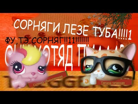Видео: LPS: Разоблачаем сорняков вместе с Елен (feat. LPS Haruka)