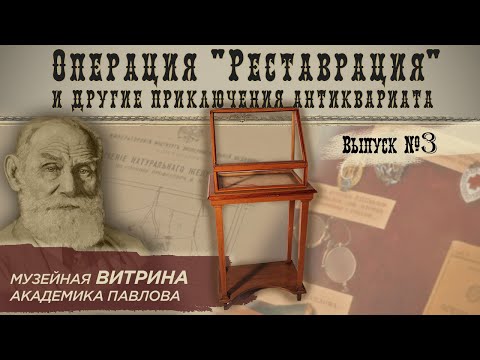 Видео: Восстановление витрины из музея И. П. Павлова | Реставрация и другие приключения антиквариата #3
