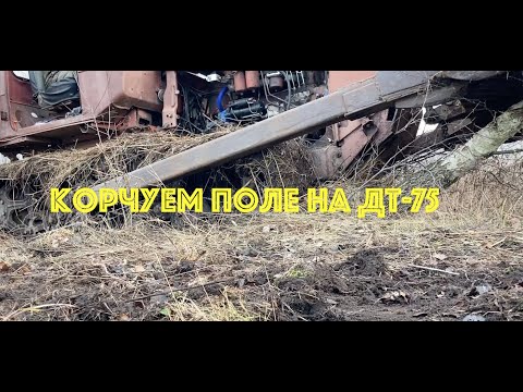 Видео: Корчую поле на ДТ-75