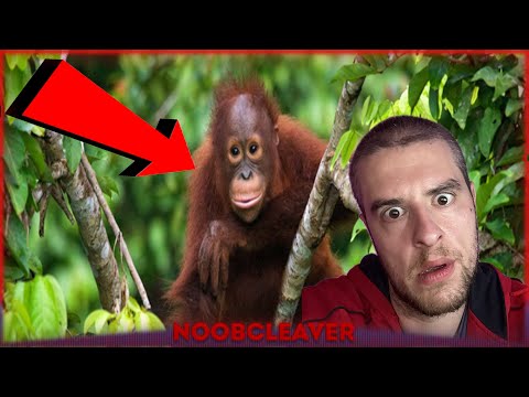 Видео: Съвсем случайно бе 🤡🤡🤡