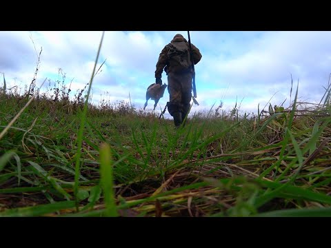 Видео: ОХОТА НА УТКУ С ПОДХОДА! ДАЛЬНОБОЙНЫЕ ВЫСТРЕЛЫ. РУЖЬЁ CZ mallard.