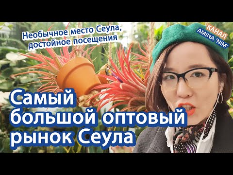 Видео: [По Корее] Самый большой цветочный оптовый рынок Сеула | 양재 꽃 도매시장 러시아어권 소개