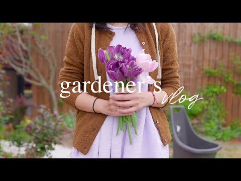 Видео: Прощай, тюльпан, здравствуй, хаос 🌷 Онлайн-покупка растений и перезапуск сада