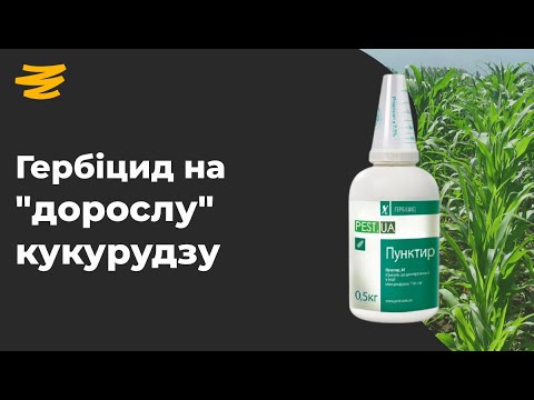 Видео: ГЕРБІЦИД НА КУКУРУДЗУ ДО 10 ЛИСТКА 💪🌻👨‍🌾