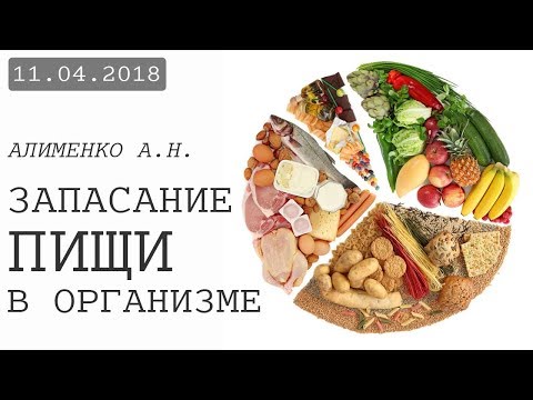 Видео: Запасание пищи в организме. Алименко А.Н. (11.04.2018)
