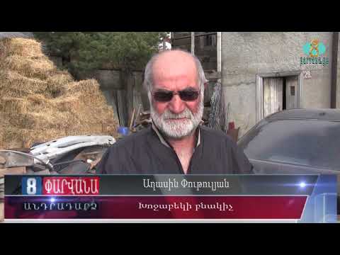 Видео: Надежда на весну зарождается осенью. Գարնան հույսը սկիզբ է առնում աշնանը