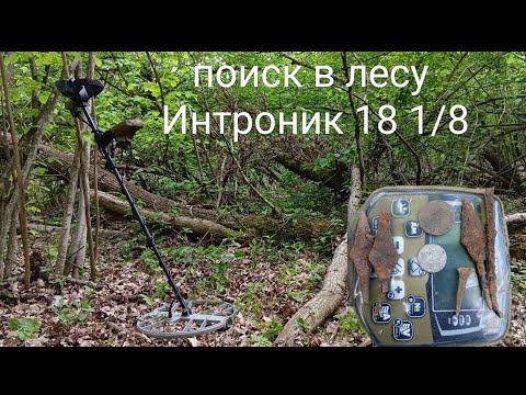 Видео: Я Искал Древности в Лесу с Интроником и Нашел Удивительные Вещи