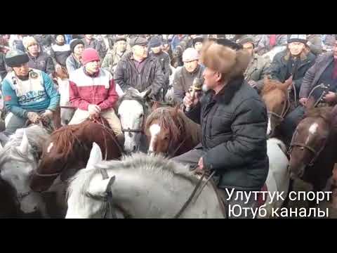 Видео: ОСОР ААЖЫНЫН УЛАГЫ