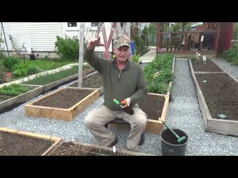 Видео: 2. Сажаем огурцы семенами - на богатый урожай! Никакой заморочки с рассадой!