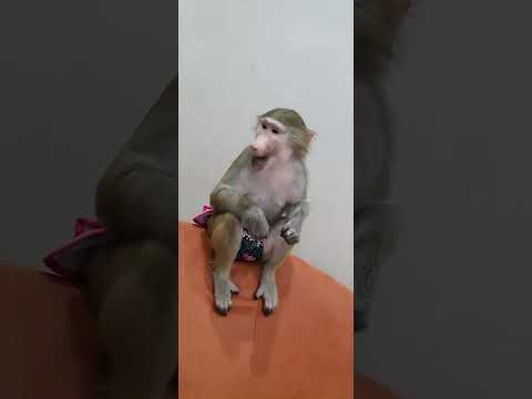 Видео: Новое развлечение 🤣🤣🤣
