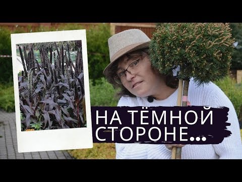 Видео: На тёмной стороне...