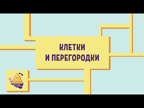Видео: Клетки и перегородки