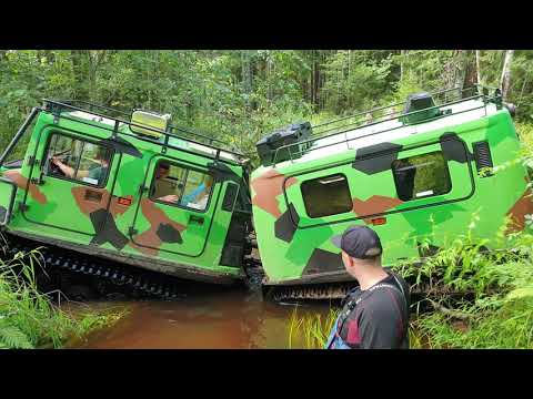 Видео: ТОРФЯНЫЕ БОЛОТА или КАК ПЕРЕЕХАТЬ РЕКУ | ВЕЗДЕХОД ЛОСЬ