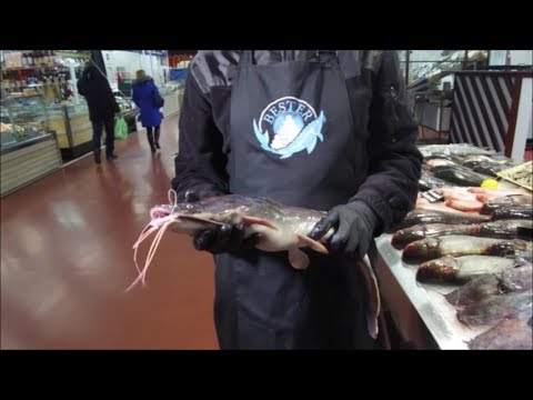 Видео: Проработка на кухне африканского клариевого сома