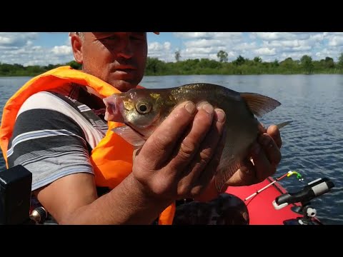 Видео: Рыбалка на Реке Волга Нижегородская область с.Хмелевка ловим ЛЕЩЕЙ