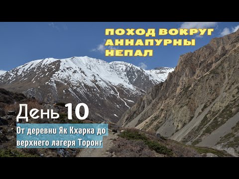 Видео: Поход вокруг Аннапурны Непал Кольцо Аннапурны Торонг Пхеди Верхний лагерь Торонг День 10