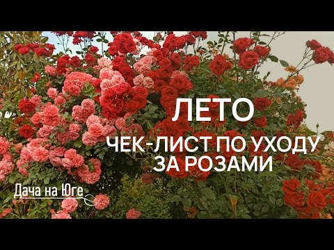 Видео: Дача на Юге - ЧЕК-ЛИСТ ЛЕТО ПО УХОДУ ЗА РОЗАМИ