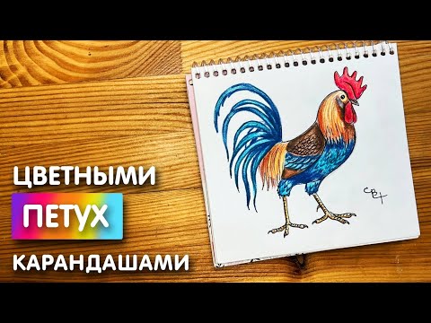 Видео: Как нарисовать петуха цветными карандашами | Рисунок поэтапно для детей